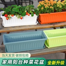 索舍长方形花盆塑料种菜家庭阳台长条型花槽蔬菜盆种植专