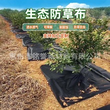 防草布除草布批发黑色抗老化除草布透气透水地布果园农用无纺布