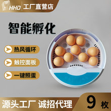 家用孵化机HHD小鸡鹌鹑孵化设备 9枚鸡蛋孵化器小型鸟蛋孵蛋器