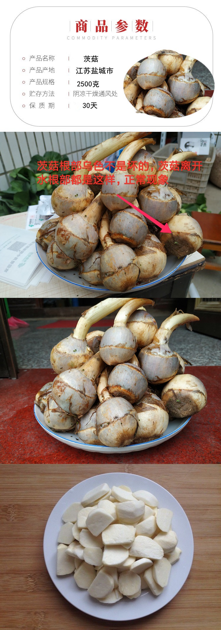 新鲜青茨菇5斤紫慈姑茨菰马蹄白茨菇燕尾草地栗芽菇蔬菜包邮食用