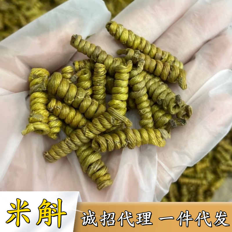米斛 四年生铁皮石斛枫斗安徽仿野生新鲜铁皮石斛干条中药材批发