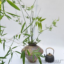 仿真小叶簕竹竹子绿植禅意插花侘寂客厅室内花艺装饰盆栽摆件假花