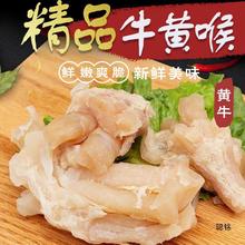 黄牛筋牛蹄筋生鲜新鲜现煮半熟牛脚筋牛杂半成品冷冻火锅食材