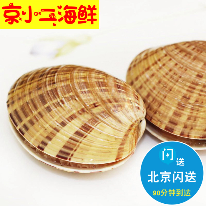 3-4只 500g 鲜活 黄金贝 大黄蚬新鲜鲜活海鲜贝类 大蛤蜊北京闪送