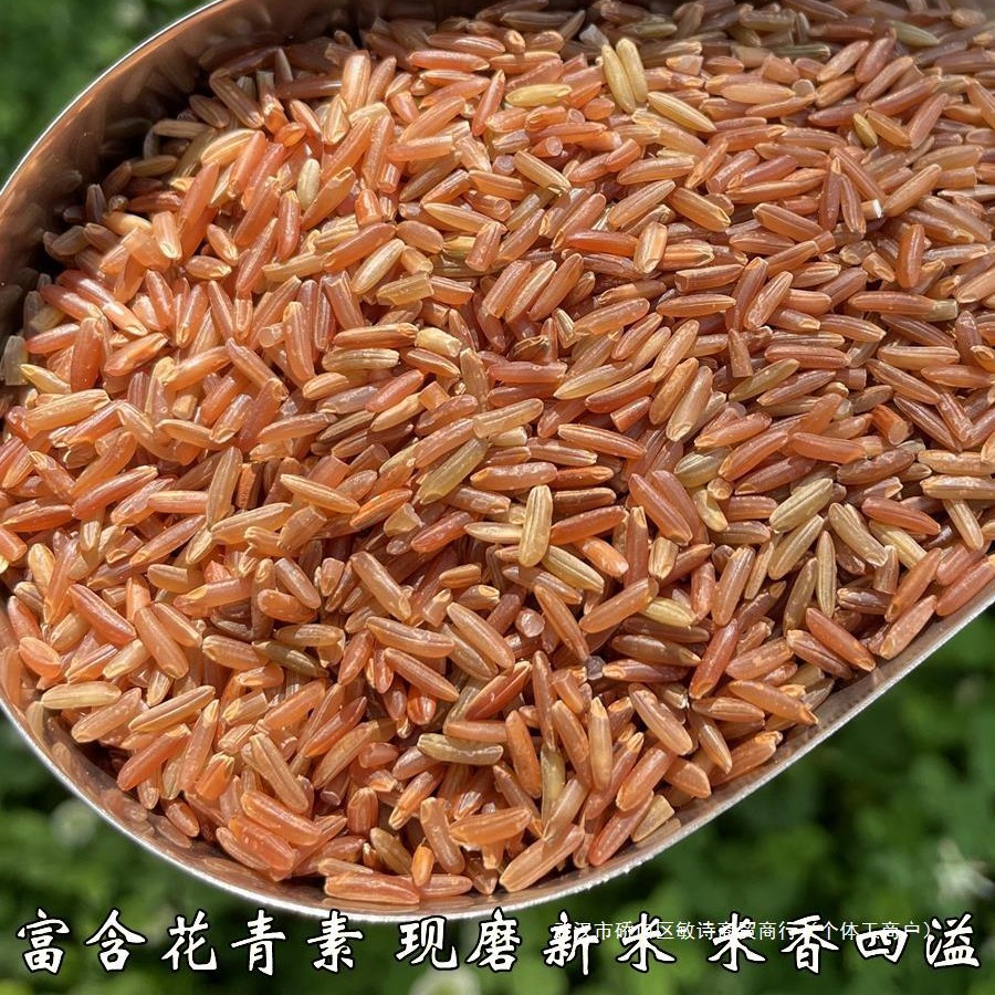 东北红米红粳米红血稻糙米5斤大米饭红香米健身主食五谷杂粗粮粥
