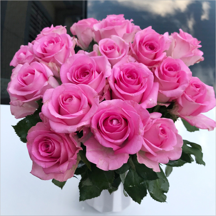 鲜花云南基地直发昆明玫瑰花花束直批家用水养速递同城教师节礼物