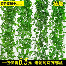 仿真绿箩植物假绿叶藤条藤蔓吊顶塑料葡萄叶仿真花装饰管道缠