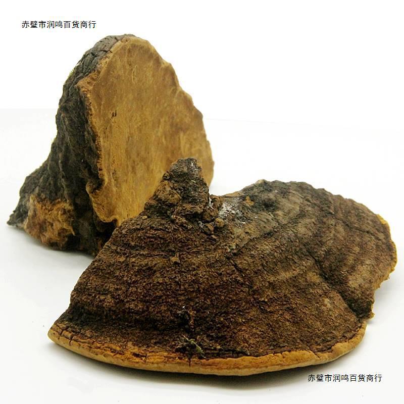 纯野生桑树桑黄足年老桑黄桑黄250克桑黄灵芝可发整枝-阿里巴巴