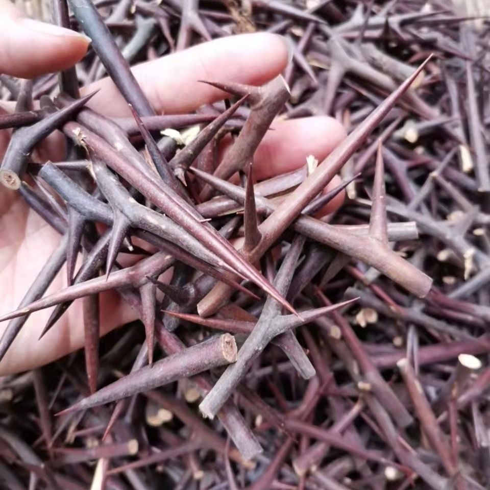 22.0成交42斤大皂角皂荚野生皂角洗发中草药皂荚新货散装批发￥2.