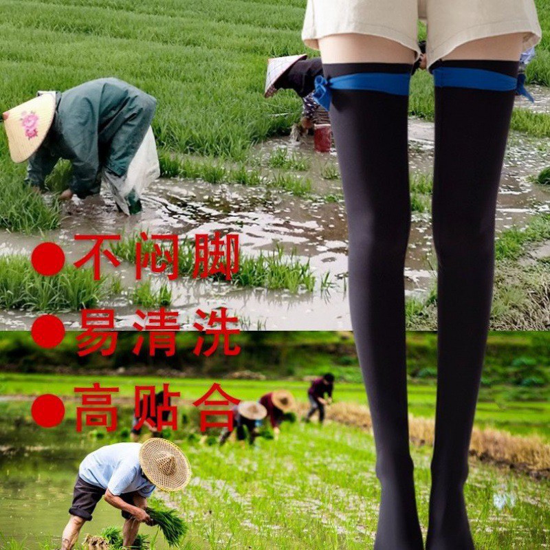 插秧袜子水田加厚防蚂蟥蛭袜种田长筒袜防蚊虫高弹力防护一件批发