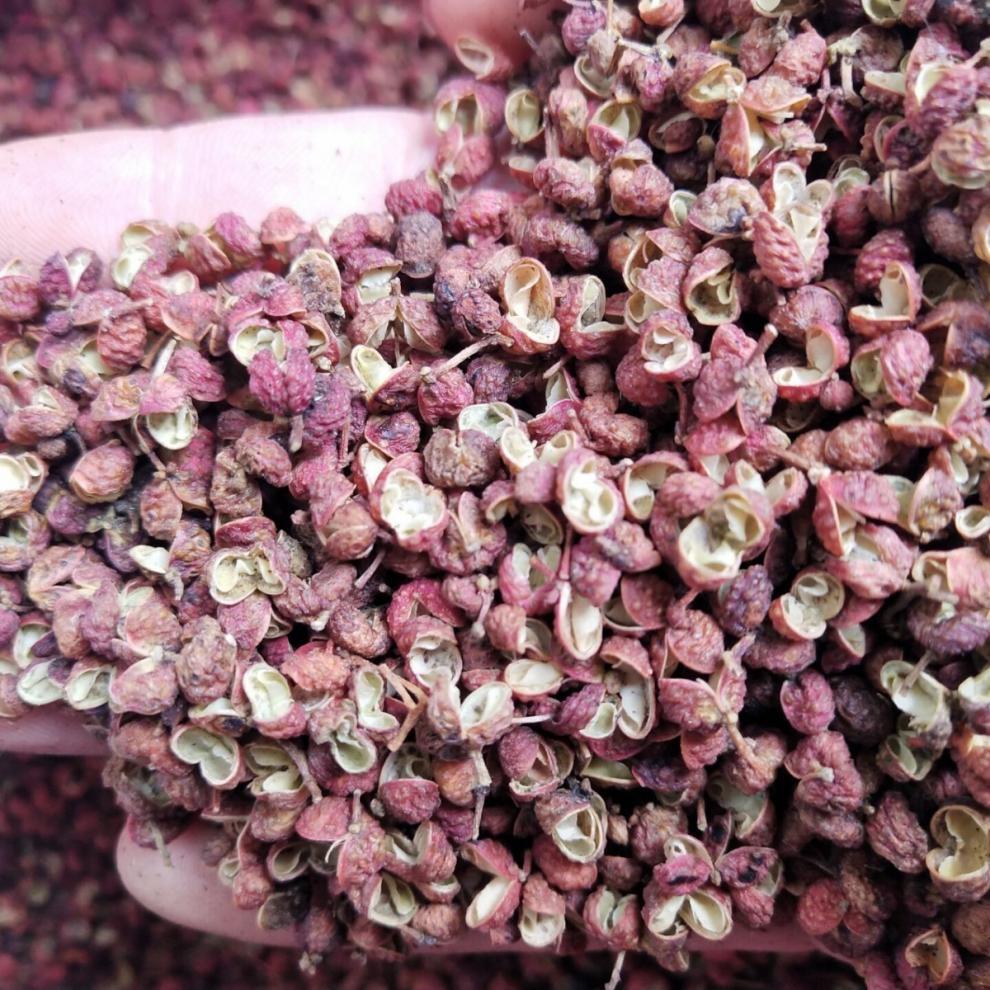 胡椒粉四川特产花椒粒红花椒藤椒大料火锅底料花椒粉调料100g500g