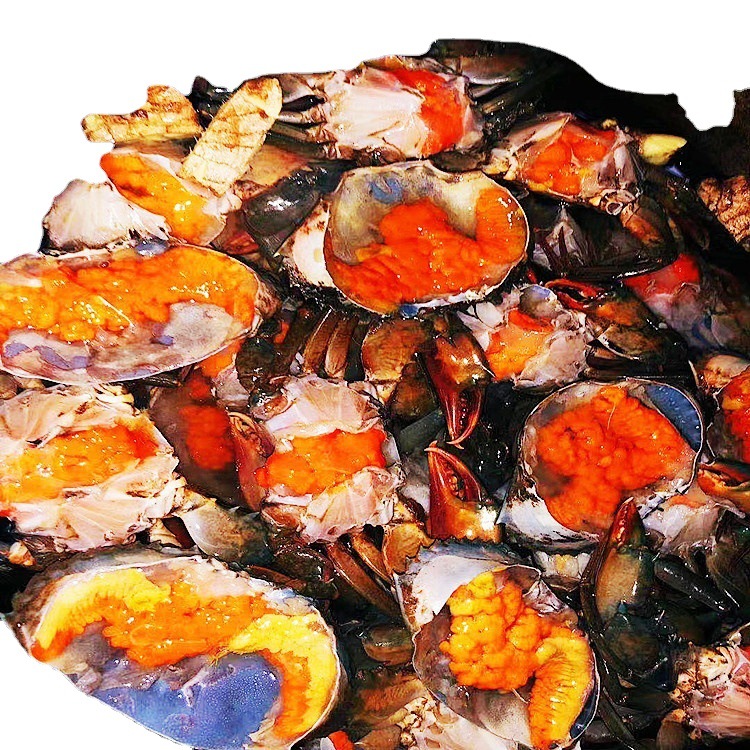 长期供应鲜活孟加拉膏蟹 蟹黄饱满大小规格都有适用于各种宴席