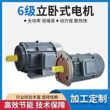 厂家供应电机 YE3-0.55-200KW-6级 加工定制