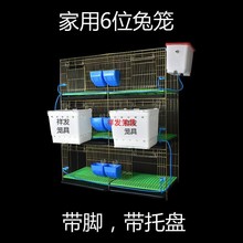 免子笼新型兔笼免清粪兔笼子母兔繁殖笼肉兔养殖笼荷兰猪笼子母大