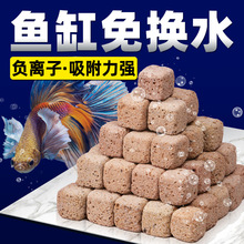 SQG鱼缸过滤材料硝化细菌屋水族箱祛腥臭免换水滤材净水养鱼专用