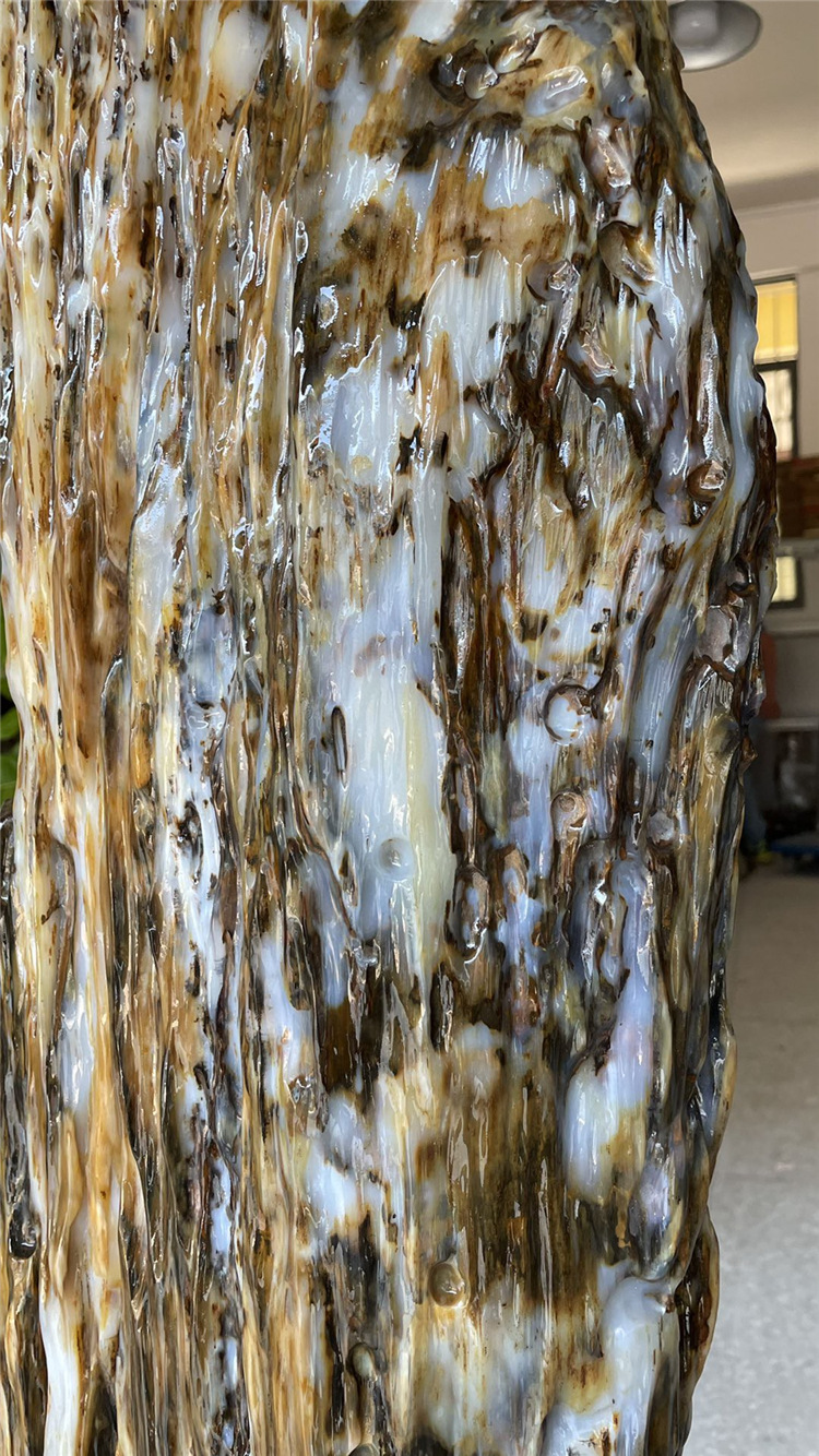 缅甸树化玉天然树化石原石木化玉奇石木化石硅化木家居装饰摆件