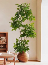 仿真植物幸福树发财树客厅大型落地假绿植室内家居装饰摆件假花