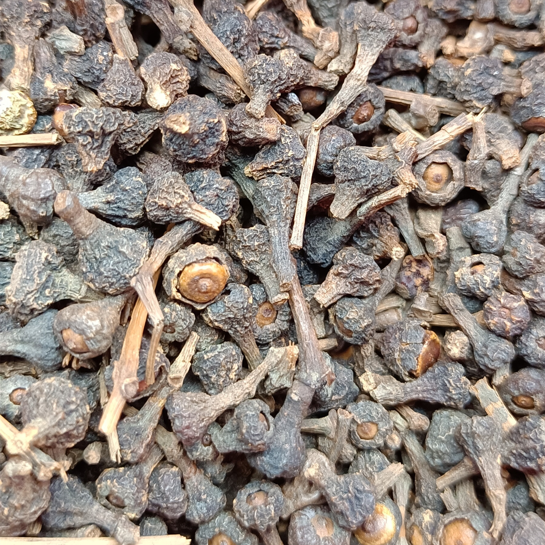 桂籽广西肉桂子贵子桂中香料调料大全卤料包粉佐料批发大料500克