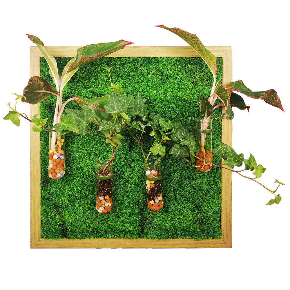 园林隔根带阻隔隔离条挡层板修边绿化挡水条收边条挡水板花池校园