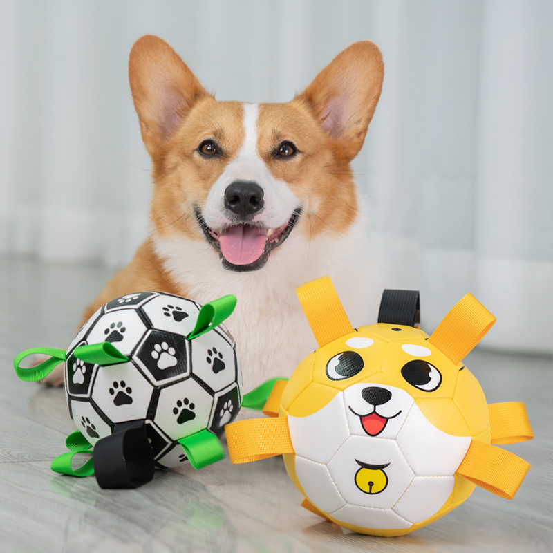 宠物玩具球足球耐咬柯基泰迪柴犬磨牙互动弹力球狗狗用品解闷神器