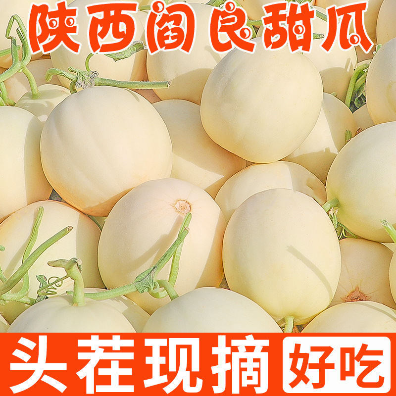 陕西阎良甜瓜10斤新鲜水果当季整箱包邮蜜瓜小白瓜蜜香瓜羊角橄榄