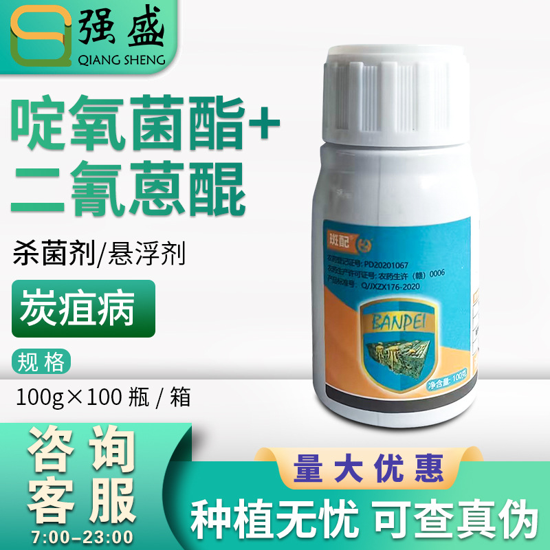中迅斑配 36%啶氧菌酯·二氰蒽醌 苹果树炭疽病杀菌剂悬浮剂农药