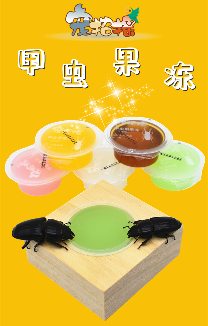 甲虫果冻独角仙果冻成兜虫长戟幼虫蚂蚁蛋白大扁锹甲食台昆虫食物
