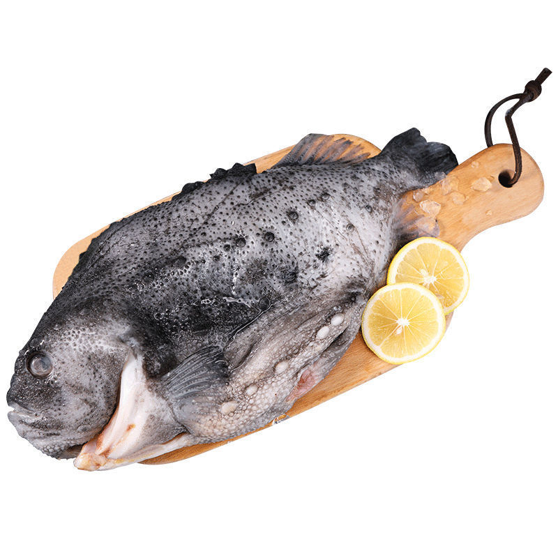 海参斑去内脏新鲜生鲜野生冷冻整条海鲜水产深海鱼石斑鱼批发包邮