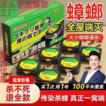 日本灭蟑螂药批发全窝端小黑屋孕婴无毒强力灭杀虫卵大小通杀