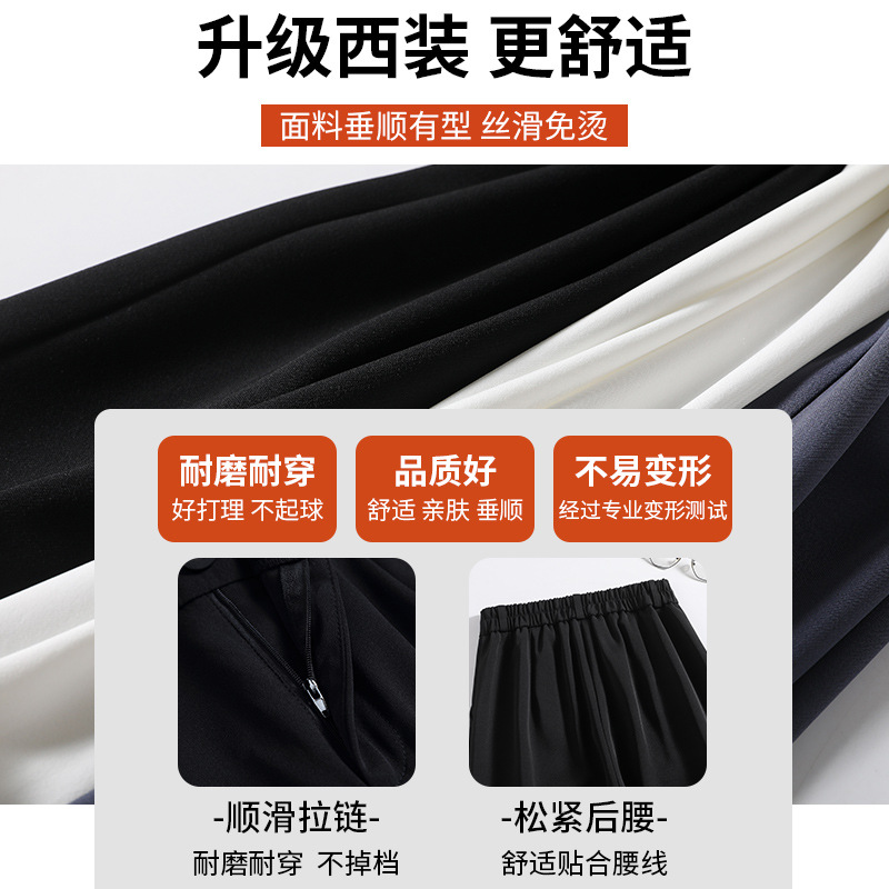 Suit Wide-Leg Pants Female Gray Spring and Autumn Straight High Waist Draping Effect High-End Sense Small Casual Mop Pants