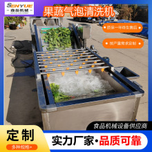 海带清洗机设备全自动气泡清洗机净菜加工清洗线酸菜清洗机脱盐