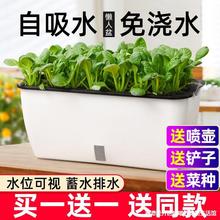 种菜花盆栽蔬菜种植箱家庭阳台塑料自吸水懒人长方形箱大