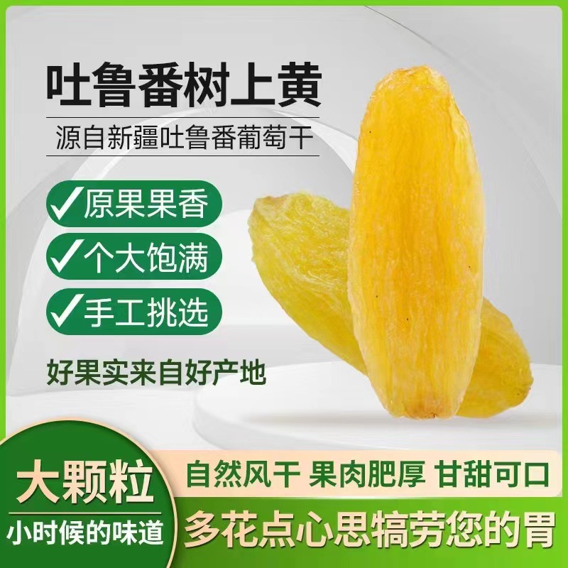 【代发】水洗新疆树上黄葡萄干批发500g 新货零食大颗粒黄葡萄干