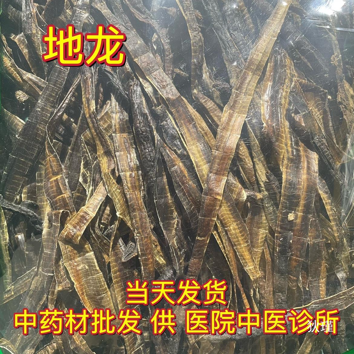 安国中药材市场批 发无硫广地龙 半开地龙个子海南地龙个 1000克