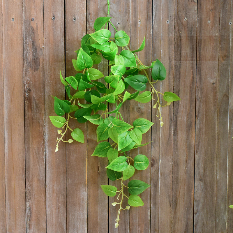 追忆 仿真绿植藤蔓 常青藤绿萝藤条绿叶管道装饰花藤植物墙挂藤叶