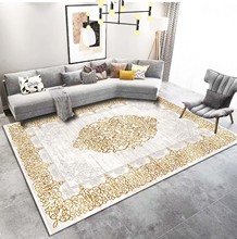 轻奢高级地毯客厅茶几毯沙发家用新款可擦免洗高端卧室垫子地垫大