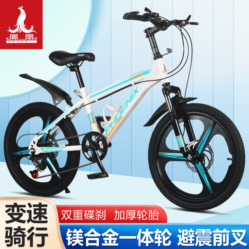 Phoenix Children's Bicycle Middle and Big Children 8-10-12 Years Old Boy Primary School Student Disc Brake Variable Speed Mountain Bicycle Pedal