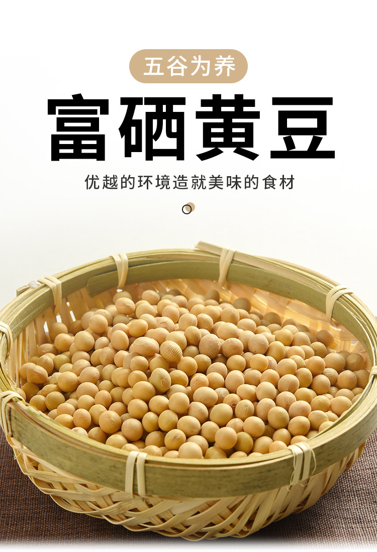 谷中美 富硒黄豆300g 五谷杂粮产地货源东北黄豆现磨豆浆原料黄豆
