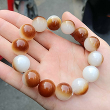 新疆美食羊脂籽米阿拉尔天山雪米玉芽玉珠级珍珠大米东北五常大米