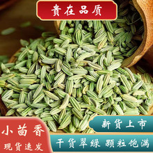 中药材香料 中草药千里香子 香料百里香籽 地椒 十里香 500克包邮