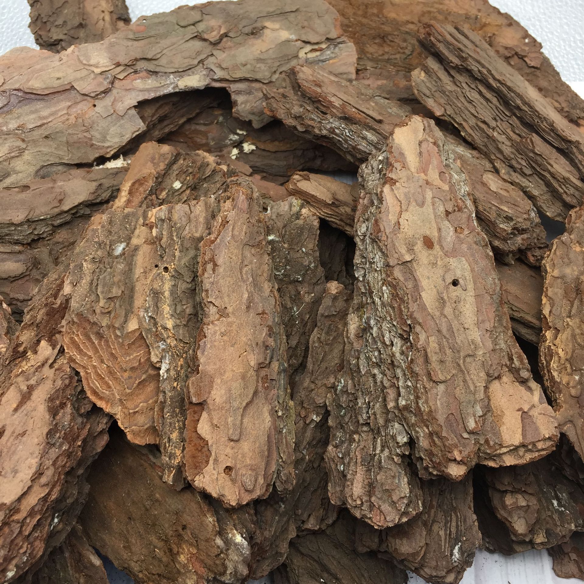 供应5-10 10-20公分树皮园林绿化装饰造景树池铺面松树皮