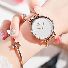 星皇STARKING品牌手表 北欧时尚简约女石英电池批发防水女士手表