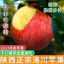 陕西洛川苹果新鲜水果当季脆甜红富士孕妇冰糖心10斤整箱