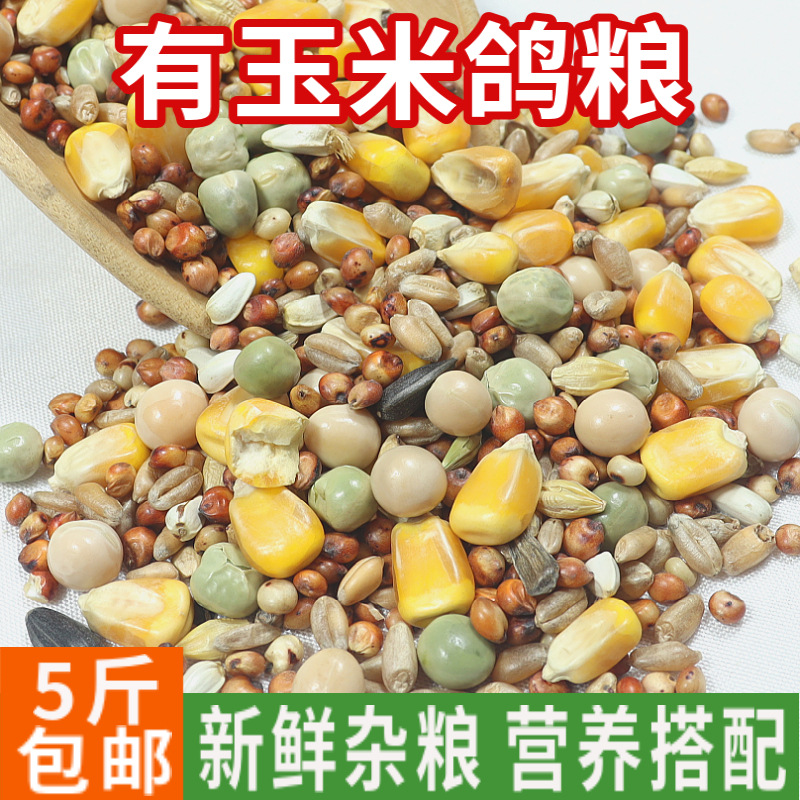 鸽子粮批发5斤装有玉米鸽赛飞营养饲料鸟食信鸽观赏鸽肉鸽食包邮