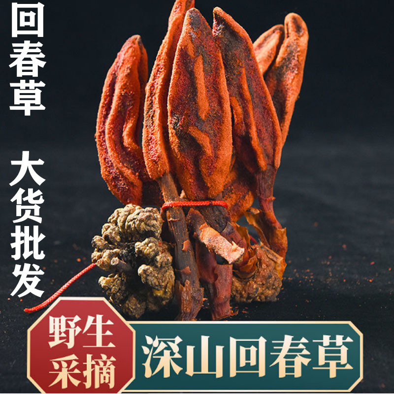 中药材批发 泡酒料 回春草 回心草 草苁蓉 不老草 颗粒打粉