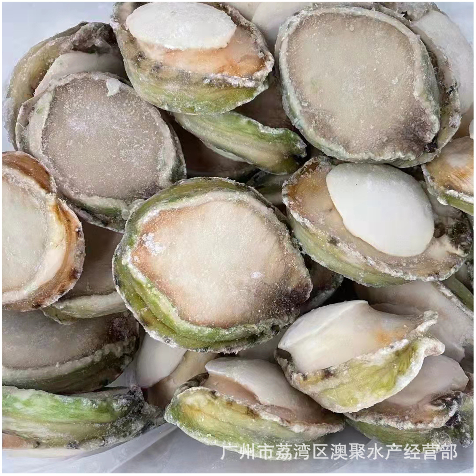 冷冻"青边鲍鱼肉"澳洲生冻大鲍鱼 刺身即食 摆盘 日料 价格按斤