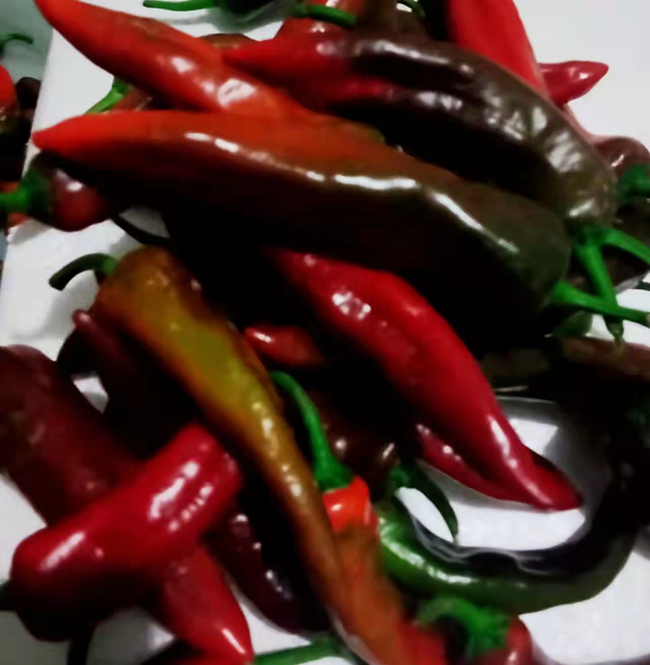[夏天变色]木红色辣妹子特辣青红辣椒现摘发笨尖椒新鲜剁椒泡椒
