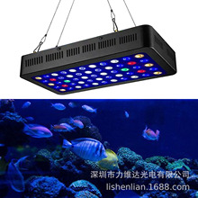 力维达跨境165W全光谱调光LED水族馆灯珊瑚水草龙鱼海水鱼缸灯
