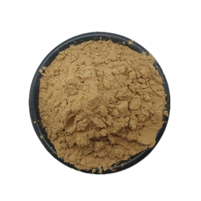 桑黄提取物10:1 桑黄粉 桑黄比例提取 多规格现货包邮 万植源供应