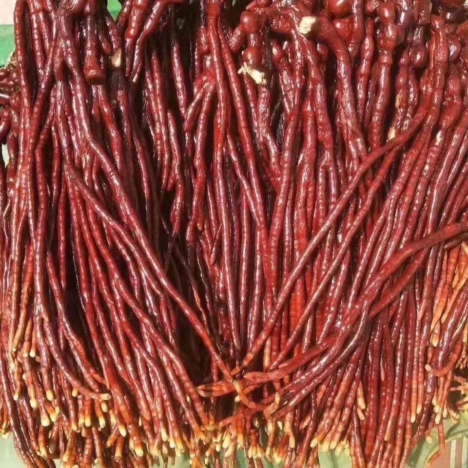 鹿角灵芝克长白山半野生灵芝草泡酒煲汤佛手多规格